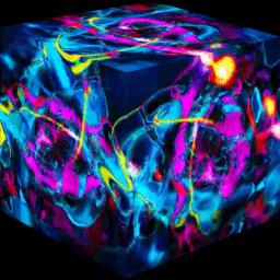 Electron Cosmic